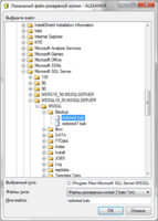 Окно_локальный_файл_резервной_копии.png